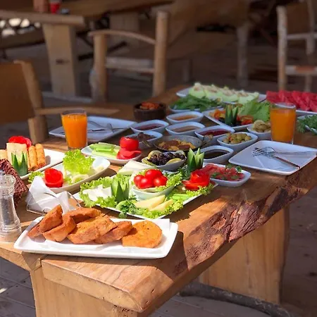 Hotel Pine & Luxury Concept *