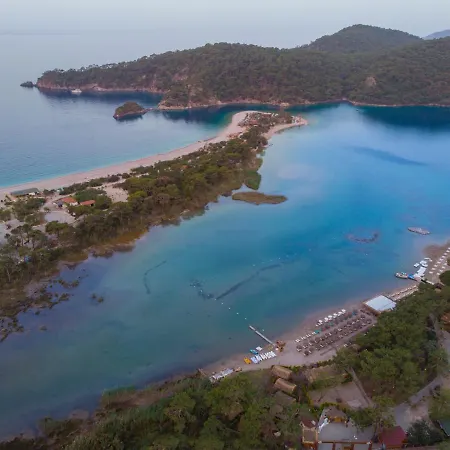 Pine & Luxury Concept Szálloda