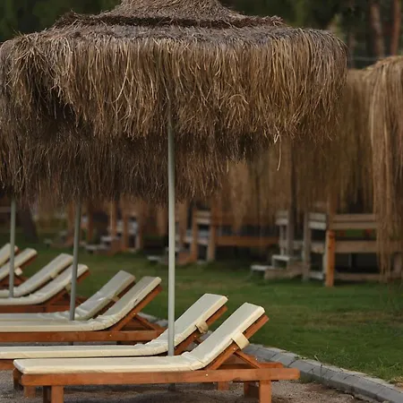 Pine & Luxury Concept Szálloda *