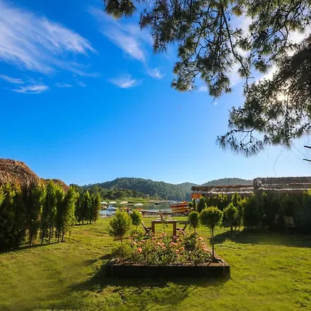 Szálloda Pine & Luxury Concept *