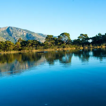 Pine & Luxury Concept Oludeniz