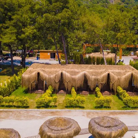 Szálloda Pine & Luxury Concept