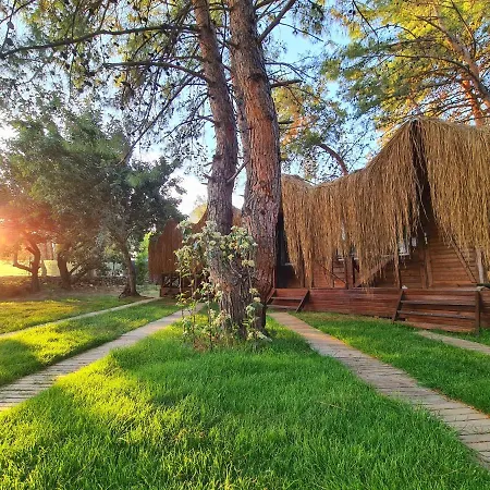 Pine & Luxury Concept Szálloda Oludeniz