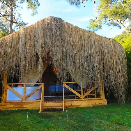 Pine & Luxury Concept Szálloda Oludeniz