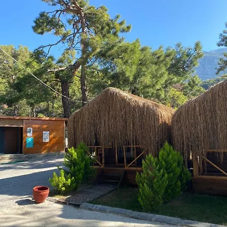 Pine Hotel *
