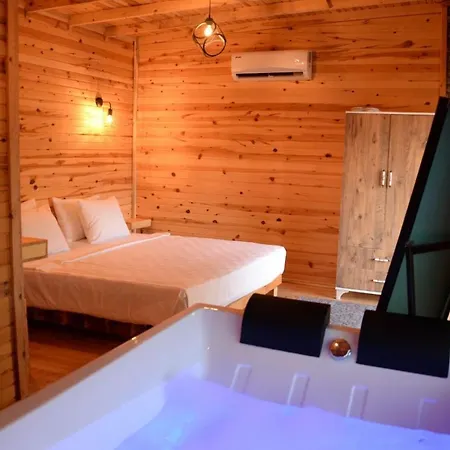 Pine & Luxury Concept *