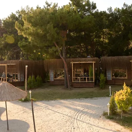 Pine & Luxury Concept Szálloda