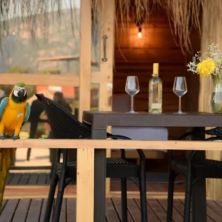 Pine & Luxury Concept Szálloda