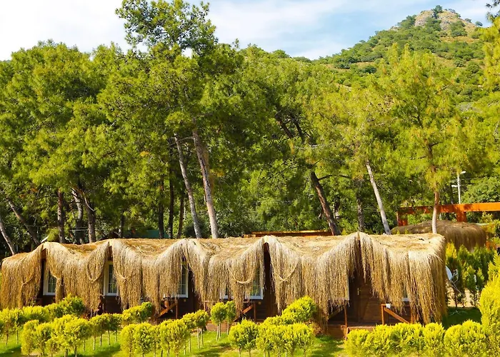 Pine & Luxury Concept * Oludeniz