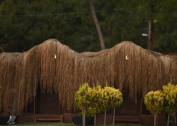 Hotel Pine & Luxury Concept Ölüdeniz