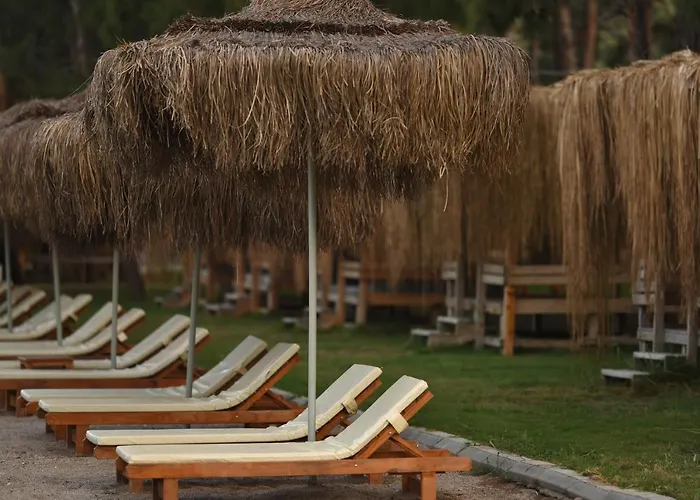 Pine & Luxury Concept Hotel *