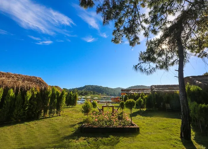 Hotel Pine & Luxury Concept *