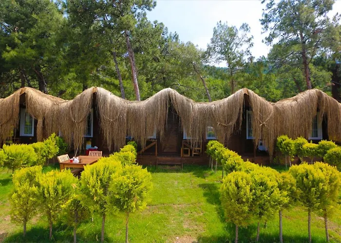 Pine & Luxury Concept Ölüdeniz