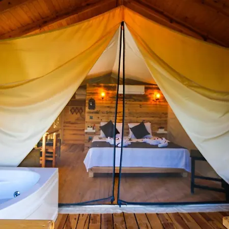 Hotel Pine & Luxury Concept