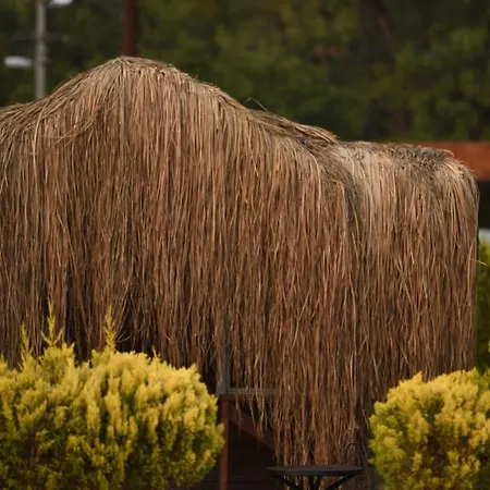 Hotel Pine & Luxury Concept