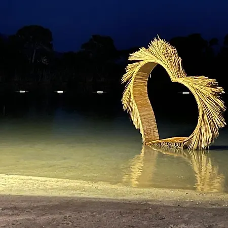 Pine & Luxury Concept