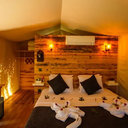 Pine & Luxury Concept Hotel *