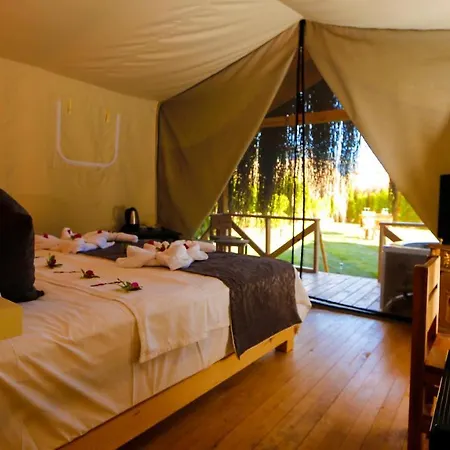 Pine & Luxury Concept Hotel *