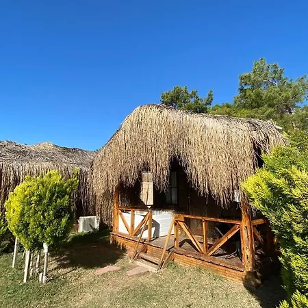 Pine & Luxury Concept Hotel