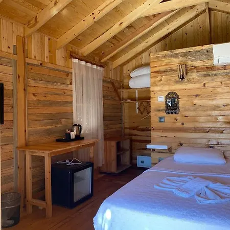 Hotel Pine & Luxury Concept